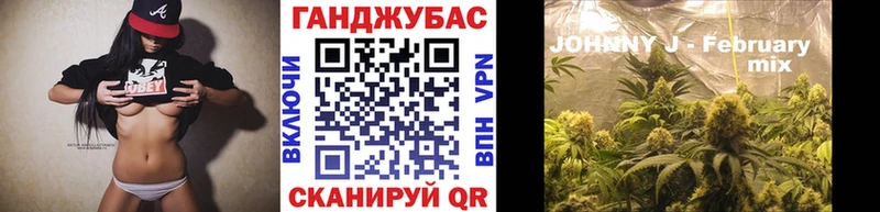Бошки Шишки ГИДРОПОН  Старица 